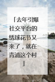 去年引爆社交平台的绣球花节又来了，就在青浦这个村